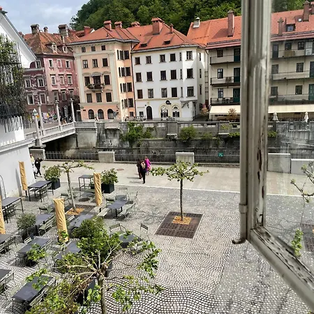 Old Center Family דירה *